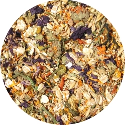 MIXERAMA MYPS GOURMET FARBMAUS 500g KARMA DLA MYSZY